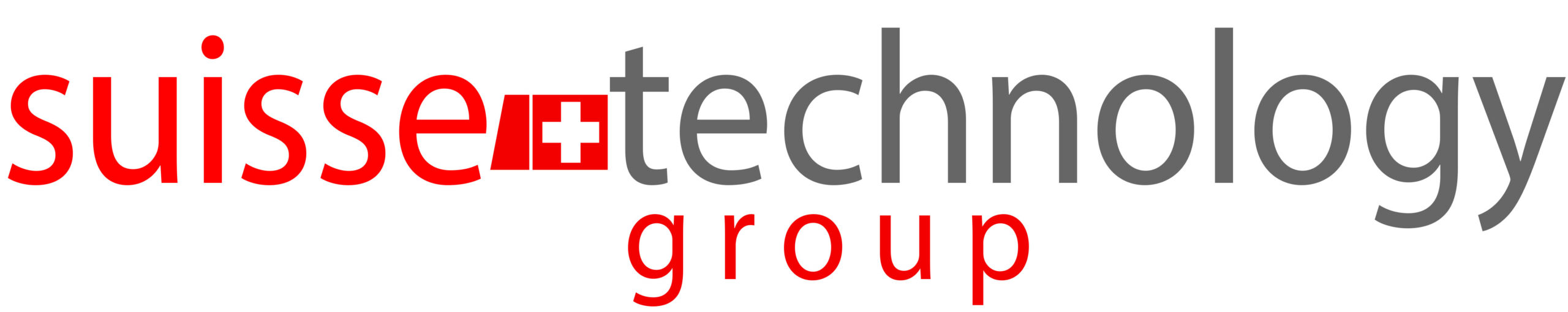 Logo STG